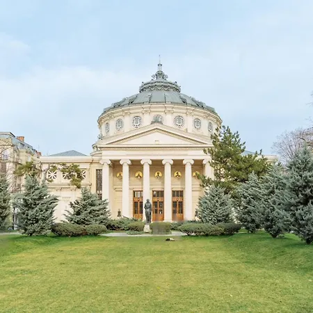 Charming 2bdr Apt Downtown *